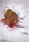 Birth of a new Species