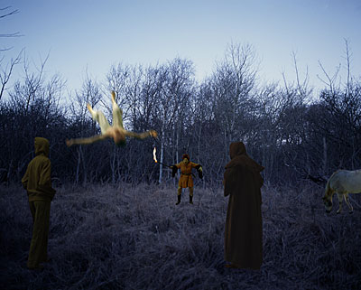 Waldgeschichten - 3 / 2007