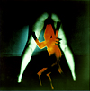 Animal Space nr2