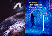 publication - Split seconds of magnificence
